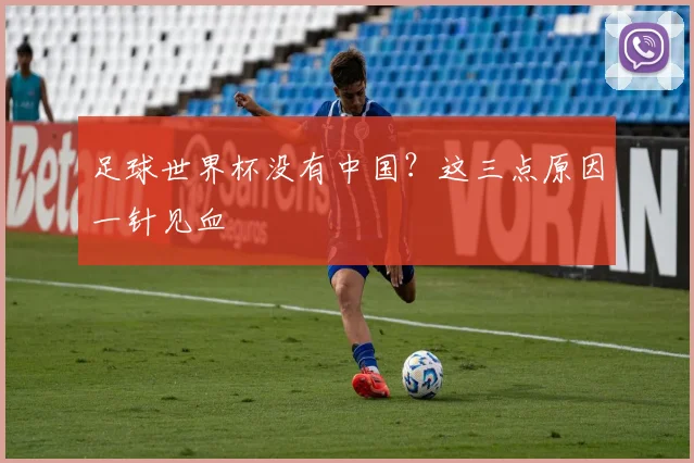 足球世界杯没有中国？这三点原因一针见血