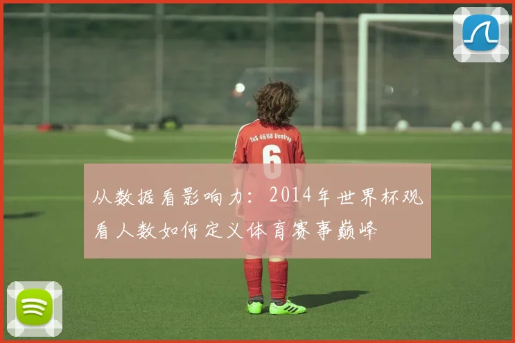 从数据看影响力：2014年世界杯观看人数如何定义体育赛事巅峰