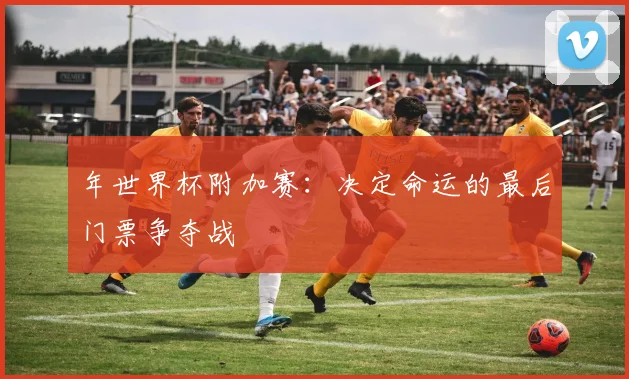 年世界杯附加赛：决定命运的最后门票争夺战