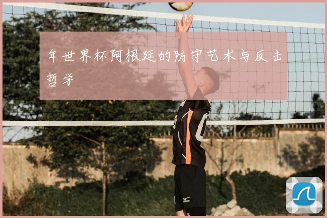 年世界杯阿根廷的防守艺术与反击哲学